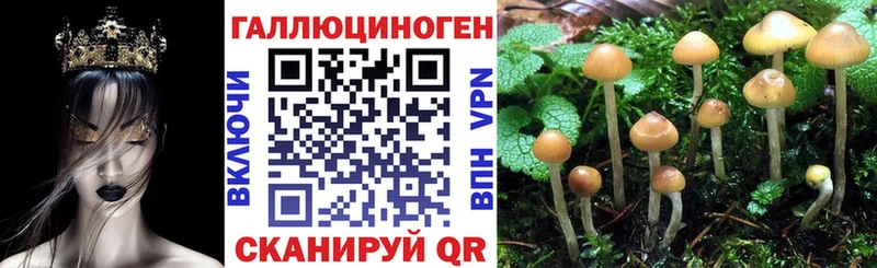 Галлюциногенные грибы Magic Shrooms Пущино